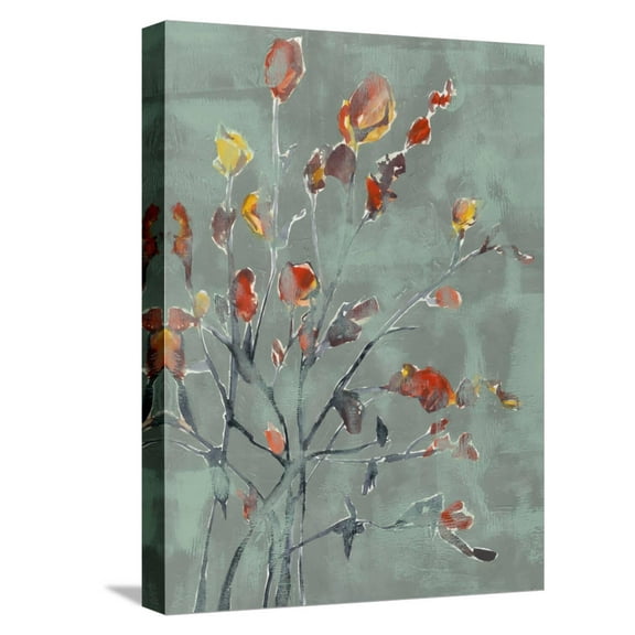 Art.com Wildflower Watercolors II Stretched Canvas Print Wall Art by Jennifer Goldberger, 12" x 16"