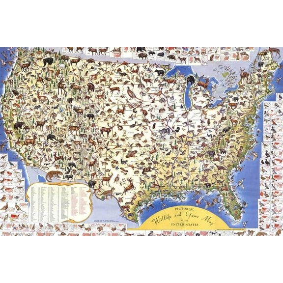 Art.com Wildlife And Game Map Of The United States Art Print by Ira Moss, 36" x 24"