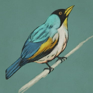 Art.com Winged Sketch II on Teal Art Print, 24" x 24"