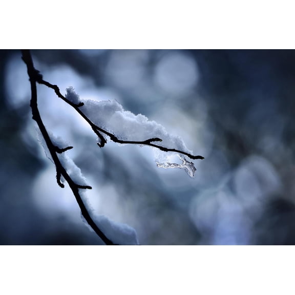 Art.com Wintry Photographic Print by Ursula Abresch, 18" x 12"