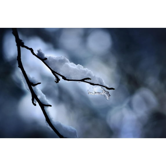 Art.com Wintry Photographic Print by Ursula Abresch, 18" x 12"