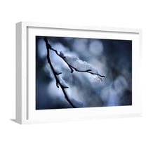 Art.com Wintry Photographic Print by Ursula Abresch, White Frame Wall Art, 23" x 17"