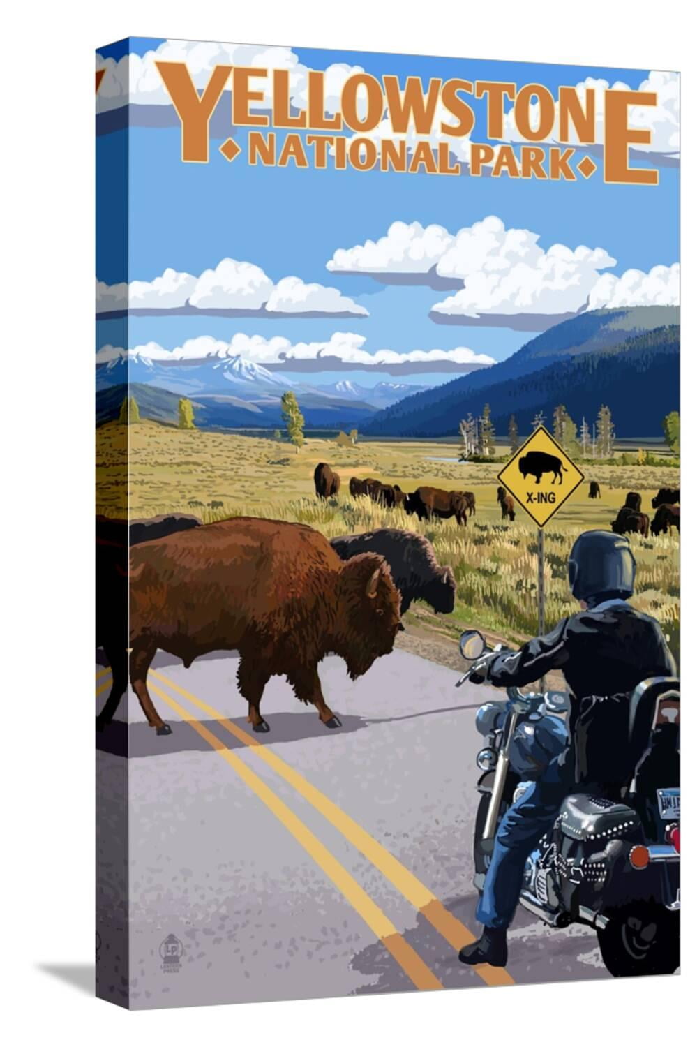 Yellowstone National Park Motorcycle and Bison Stretched
