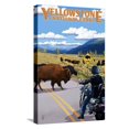 Yellowstone National Park Motorcycle and Bison Stretched
