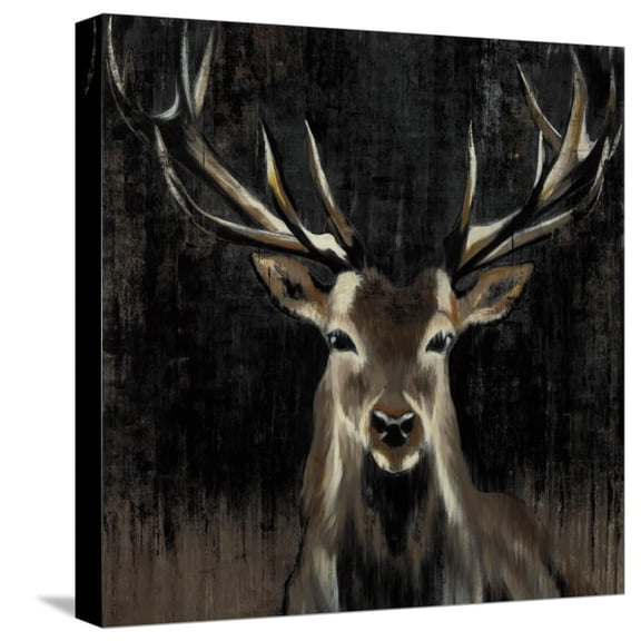 Art.com Young Buck Stretched Canvas Print Wall Art by Liz Jardine, 16" x 16"