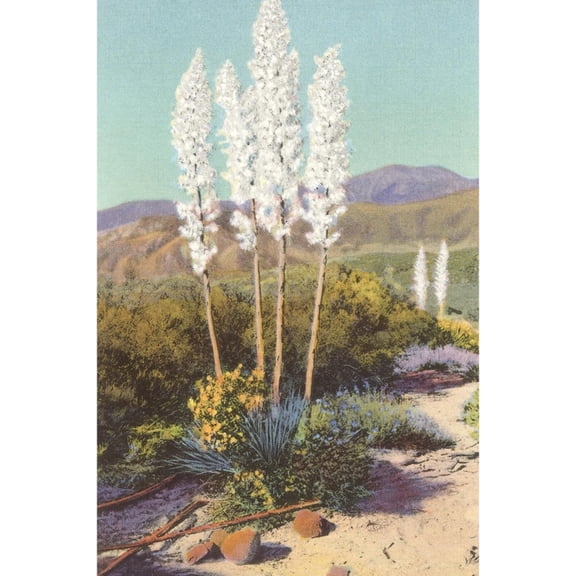 Art.com Yuccas in Bloom Art Print, 24" x 36"