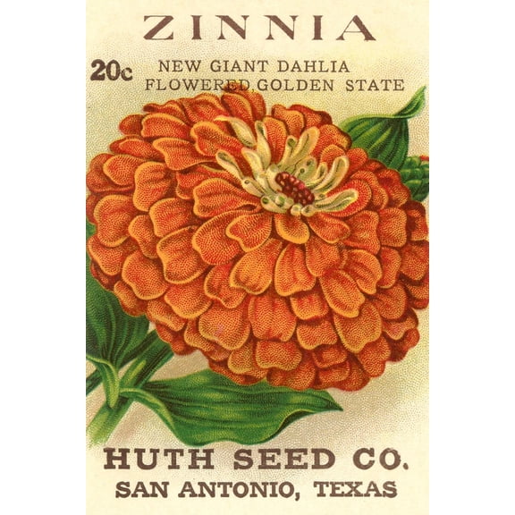 Art.com Zinnia Seed Packet Art Print, 12" x 18"