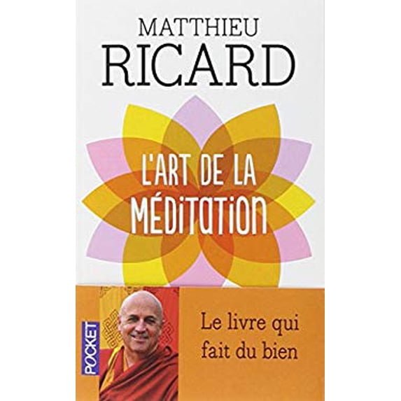 Pre-Owned Art de La Meditation (Paperback) 2266194240 9782266194242