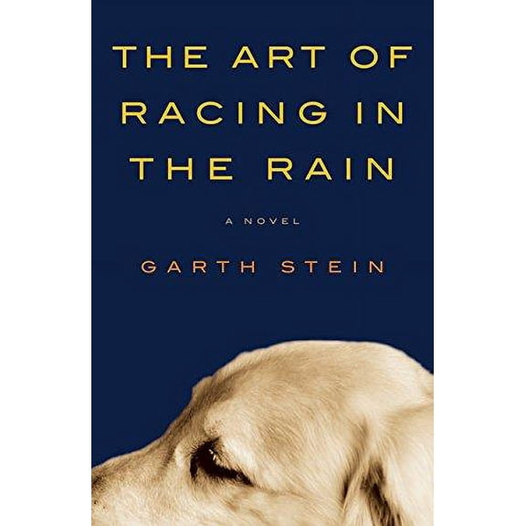 Pre-Owned The Art of Racing in the Rain by Garth Stein Paperback , Literature & Fiction English