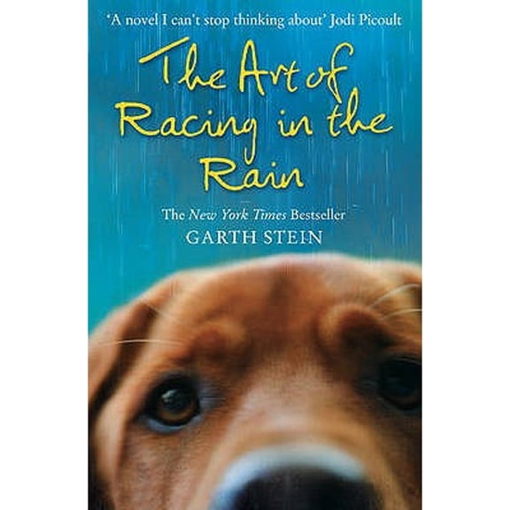 Pre-Owned The Art of Racing in the Rain a Novel. Garth Stein (Paperback) 0007281196 9780007281190