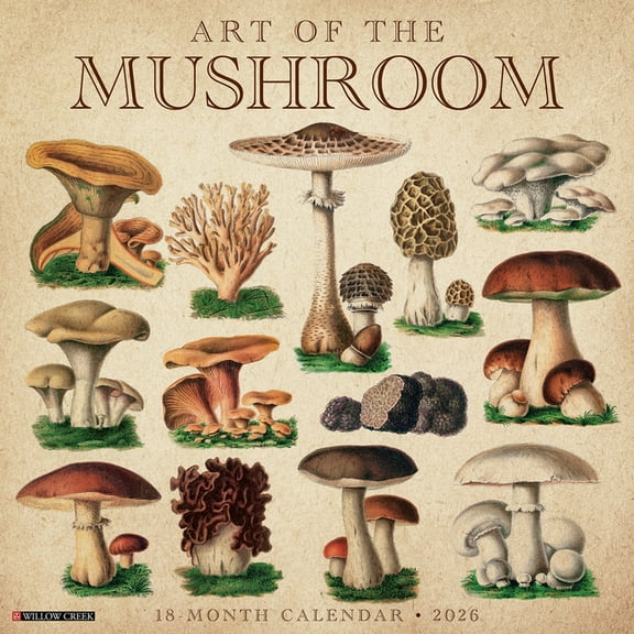 Art of the Mushroom 2026 Wall Calendar, (Paperback)