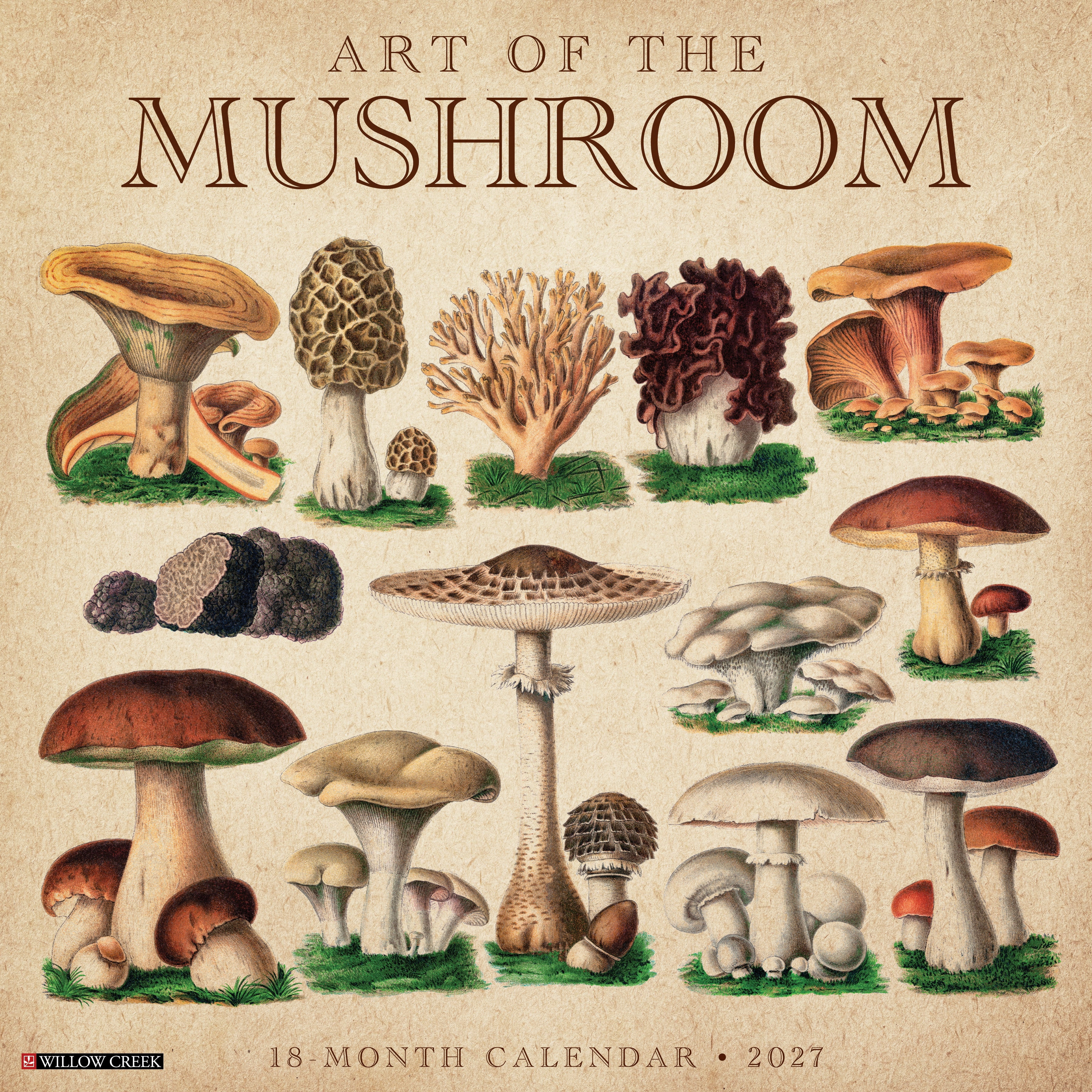 Willow Creek Press, Art of the Mushroom 2027 Wall Calendar