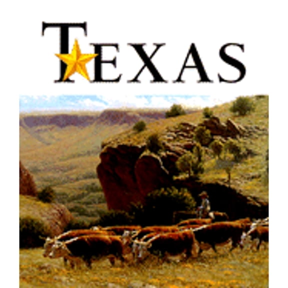 Pre-Owned Art of the State: Texas (Hardcover) 0810955644 9780810955646