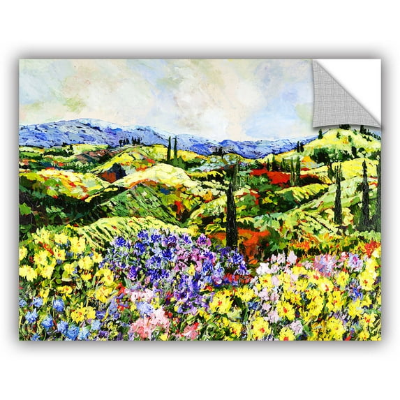 ArtAppealz Allan Friedlander "Dream Valley" Removable Wall Art