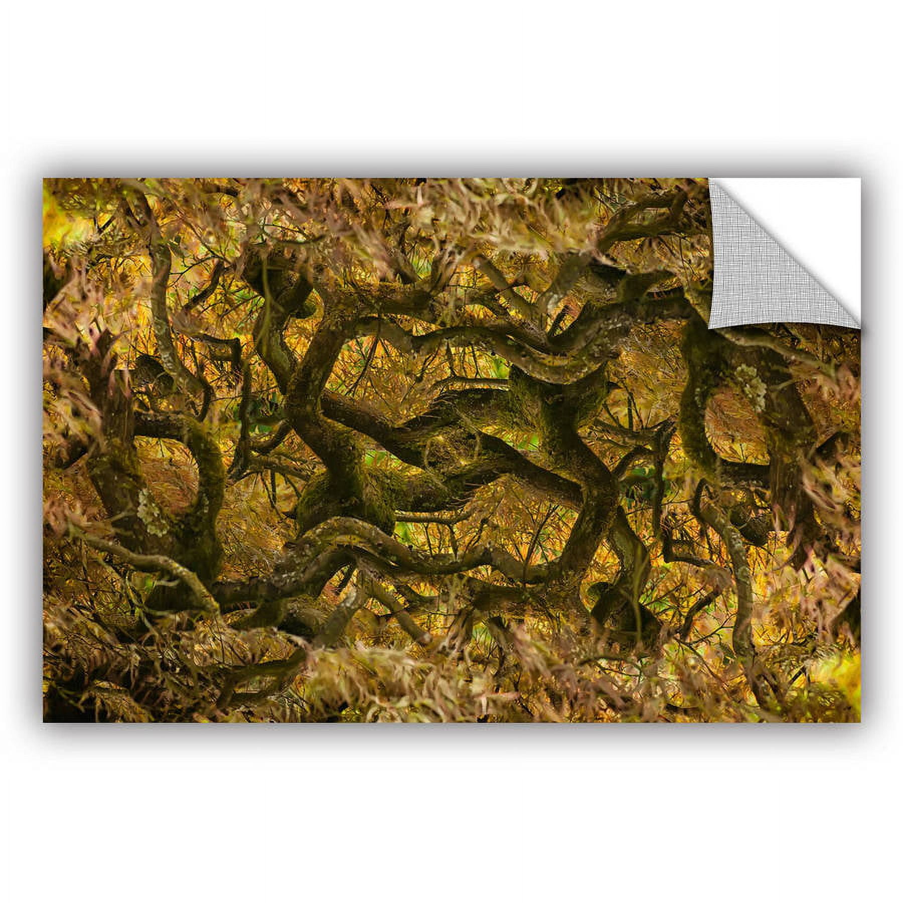 ArtAppealz Cora Niele "Acer Palmatum Dissectum Ornatum" Removable Wall