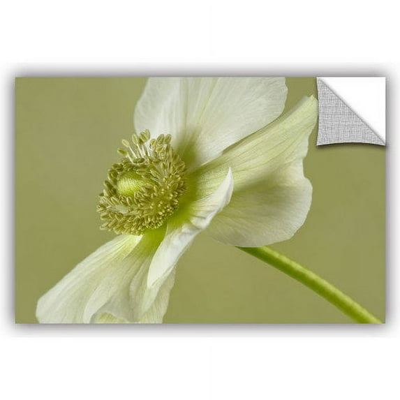 ArtAppealz Cora Niele "Anemone White Green" Removable Wall Art