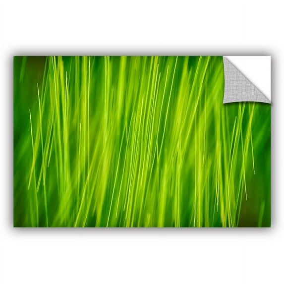 ArtAppealz Cora Niele "Hordeum" Removable Wall Art