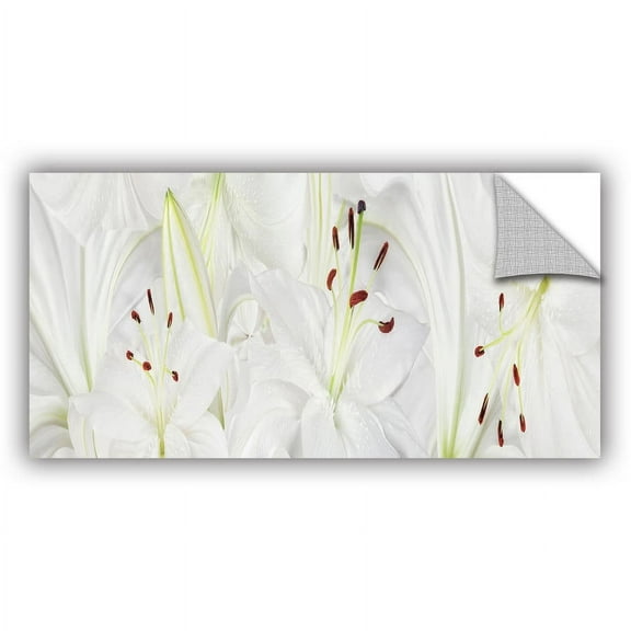 ArtAppealz Cora Niele "Lily Landscape" Removable Wall Art