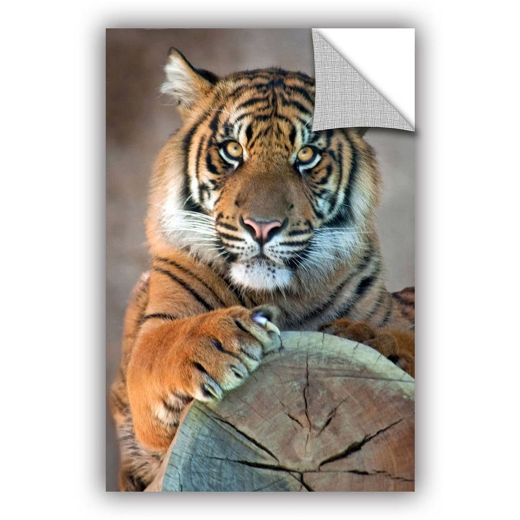 ArtAppealz Dan Holm "I'm Listening" Removable Wall Art
