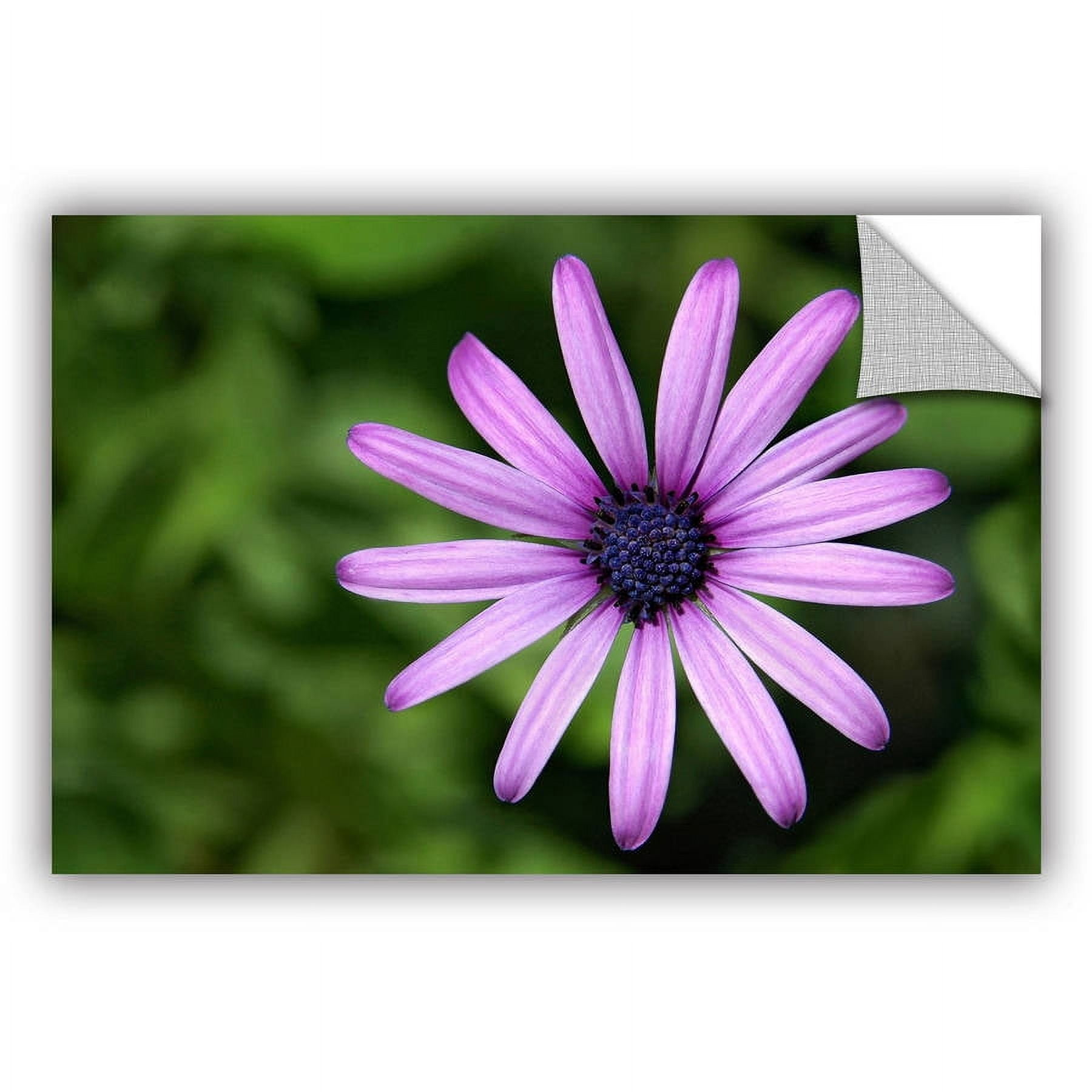 ArtAppealz Dan Holm "In the Garden" Removable Wall Art