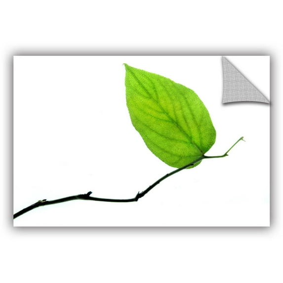 ArtAppealz Dan Holm "Lone Leaf" Removable Wall Art