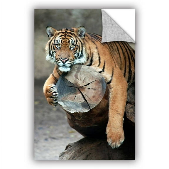 ArtAppealz Dan Holm "On A Limb" Removable Wall Art