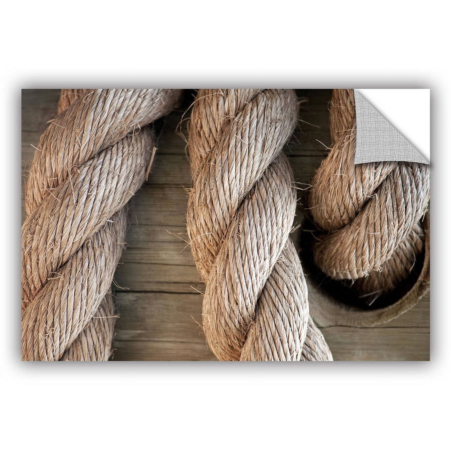 ArtAppealz Dan Holm "Rope in A Hole" Removable Wall Art