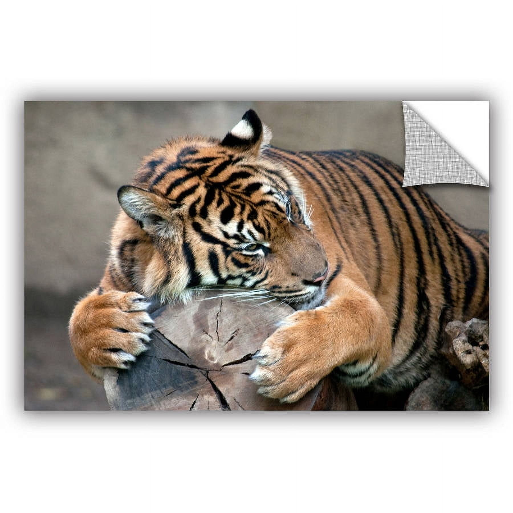 ArtAppealz Dan Holm "Sleepy" Removable Wall Art