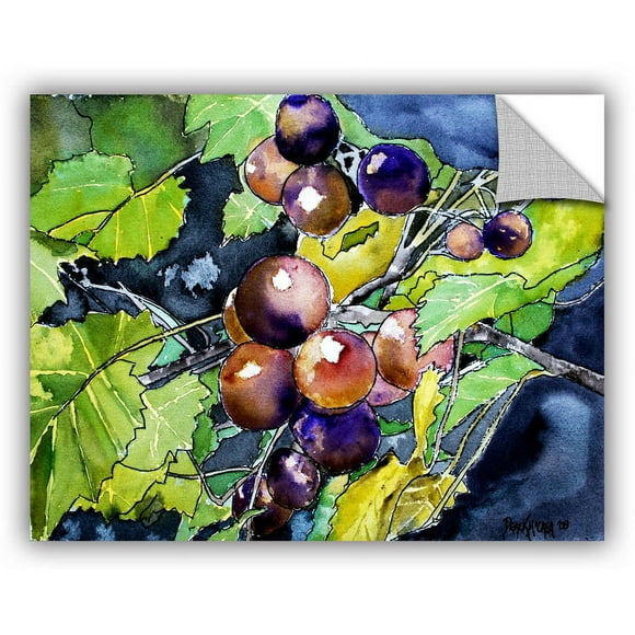 ArtAppealz Derek Mccrea "Grape Vine" Removable Wall Art