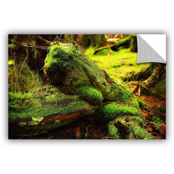 ArtAppealz Dragos Dumitrascu "Into the Greens" Removable Wall Art