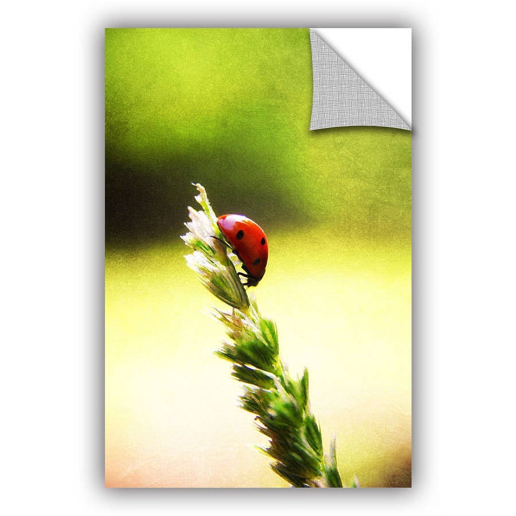 ArtAppealz Dragos Dumitrascu "Ladybug Descent" Removable Wall Art
