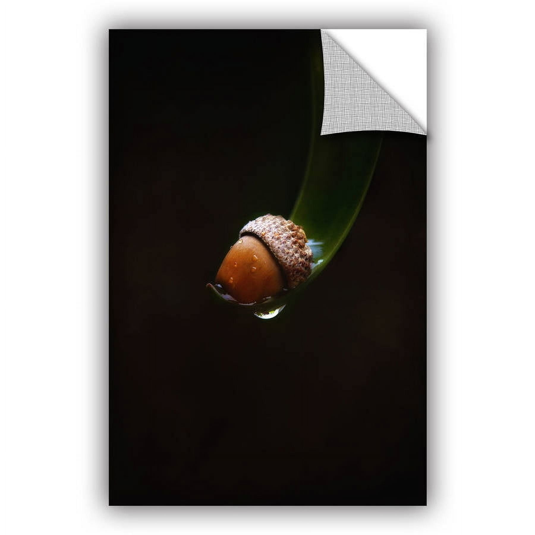 ArtAppealz Dragos Dumitrascu "Lost Acorn" Removable Wall Art