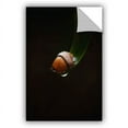 thumbnail image 1 of ArtAppealz Dragos Dumitrascu "Lost Acorn" Removable Wall Art, 1 of 1