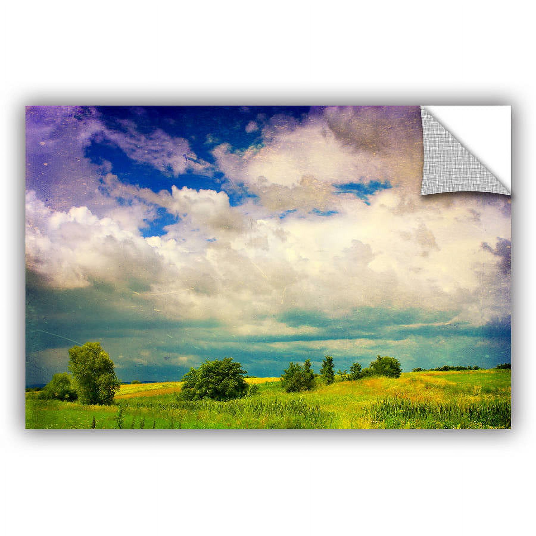 ArtAppealz Dragos Dumitrascu "Mighty Clouds" Removable Wall Art
