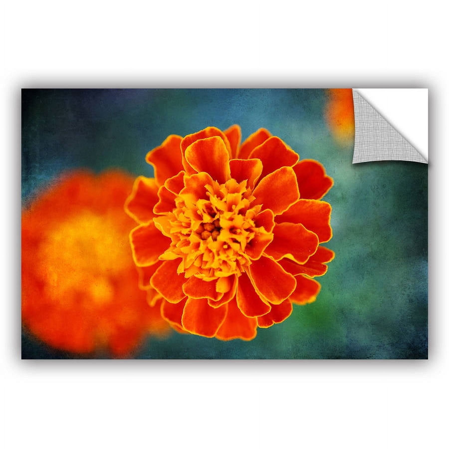 ArtAppealz Dragos Dumitrascu "One in Orange" Removable Wall Art