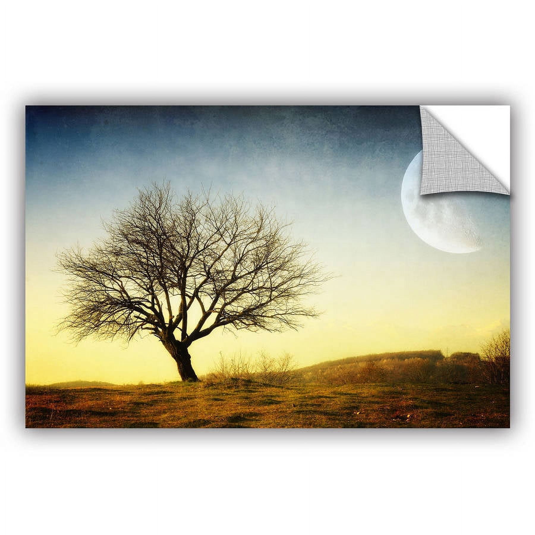 ArtAppealz Dragos Dumitrascu "Solitude" Removable Wall Art