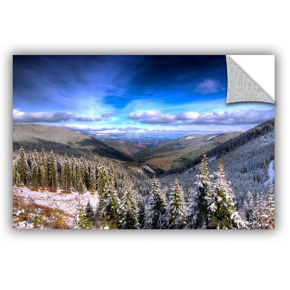 ArtAppealz Dragos Dumitrascu "Winter Vision "Removable Wall Art