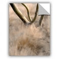 thumbnail image 1 of ArtAppealz Linda Parker "Desert Grasses" Removable Wall Art, 1 of 1