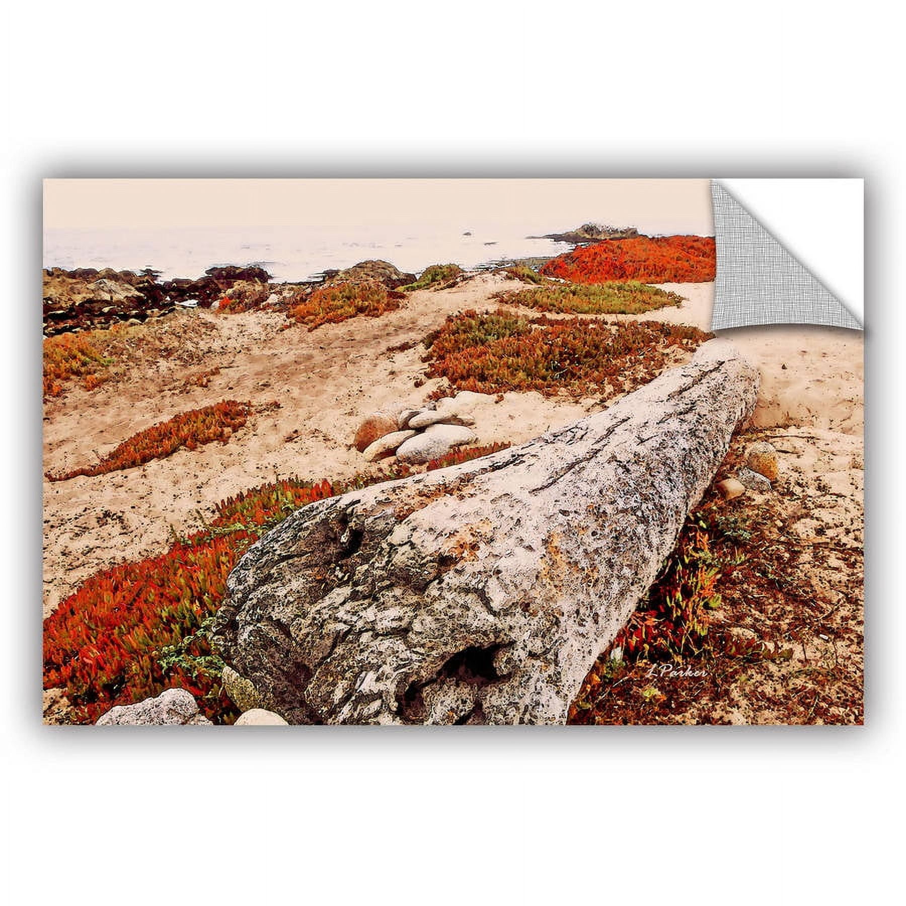 ArtAppealz Linda Parker "Log On Pebble Beach" Removable Wall Art