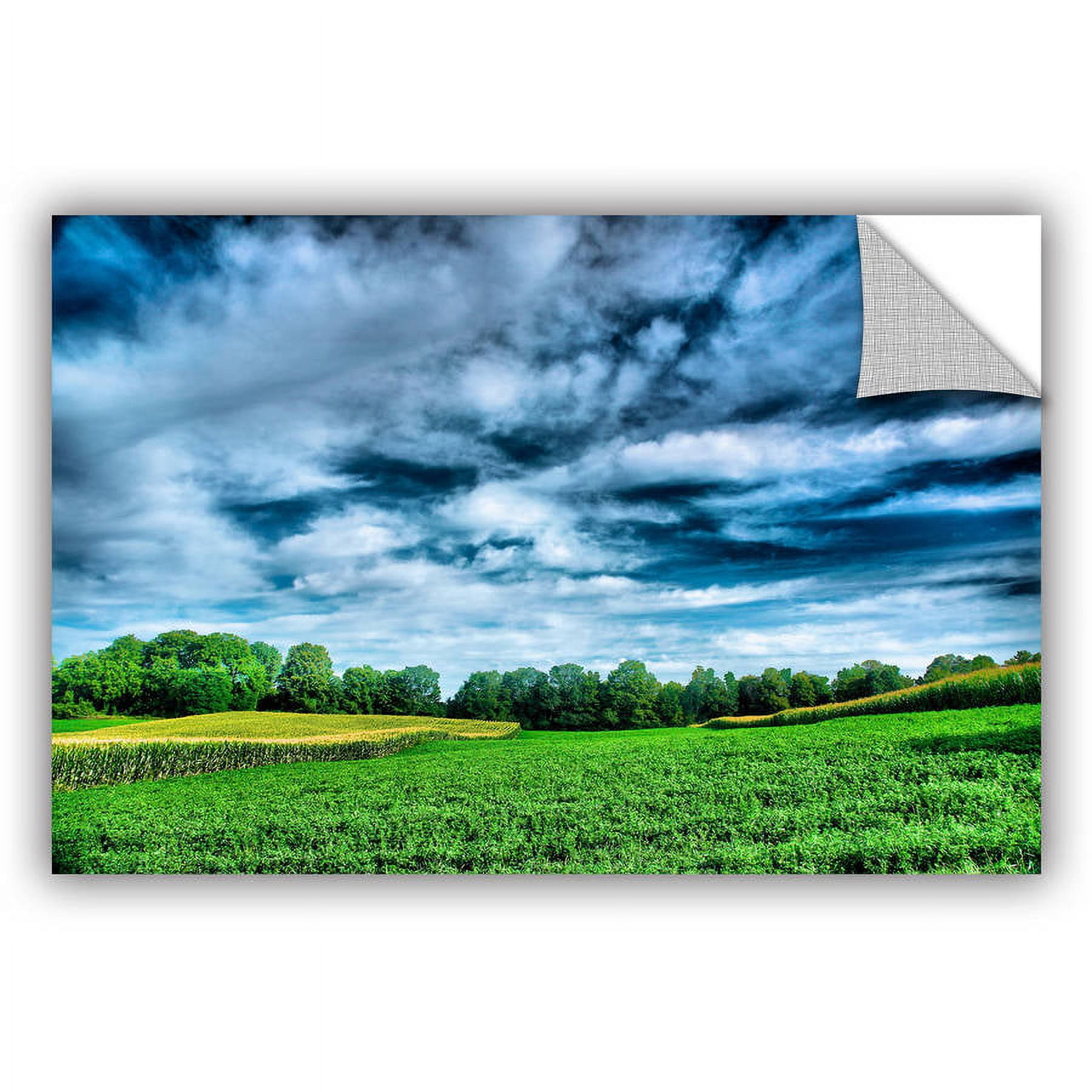 ArtAppealz Steve Ainsworth "Field of Dreams" Removable Wall Art