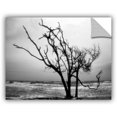 thumbnail image 1 of ArtAppealz Steve Ainsworth "Hanging on" Removable Wall Art, 1 of 1