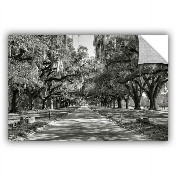 ArtAppealz Steve Ainsworth "Live Oak Avenue II" Removable Wall Art