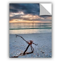 ArtAppealz Steve Ainsworth "The Storm" Removable Wall Art