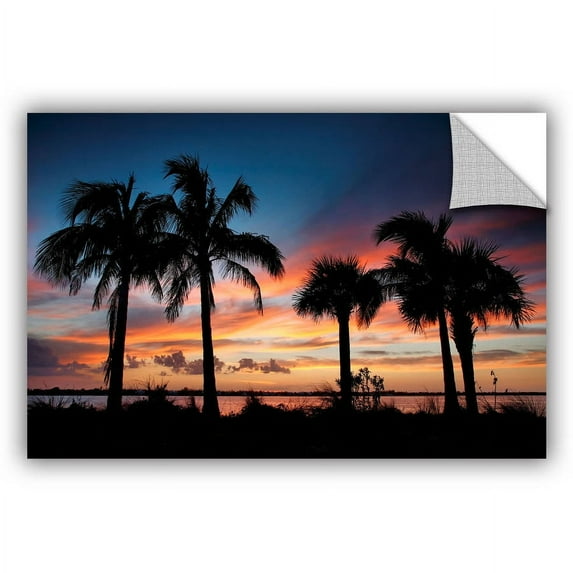 ArtAppealz Steve Ainsworth "Tropical Sunset II" Removable Wall Art