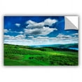 thumbnail image 1 of ArtAppealz Steve Ainsworth "Vineyard and Lake" Removable Wall Art, 1 of 2