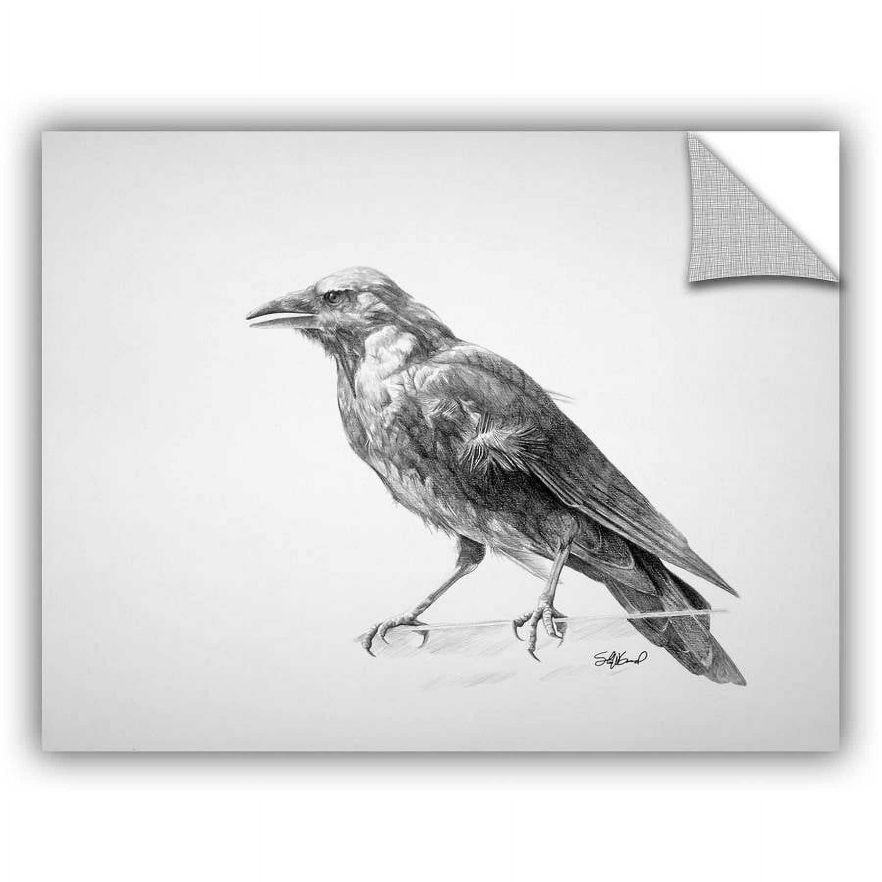 ArtAppealz Steve Goad "Crow Drawing" Removable Wall Art