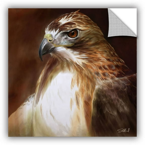 ArtAppealz Steve Goad "Red-Tailed Hawk" Removable Wall Art