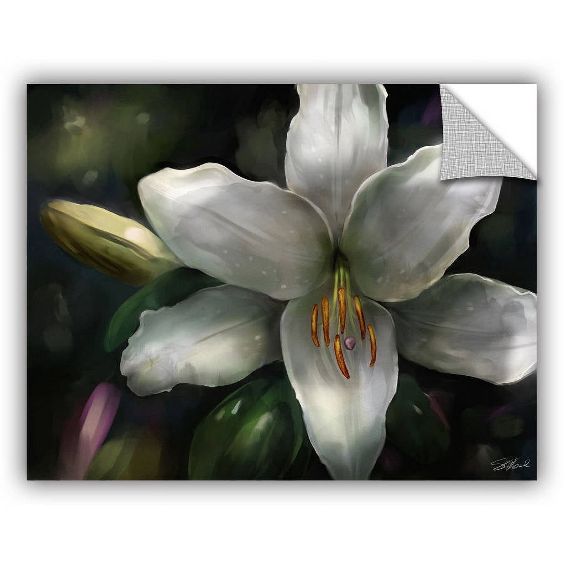 ArtAppealz Steve Goad "Star Gazer" Removable Wall Art