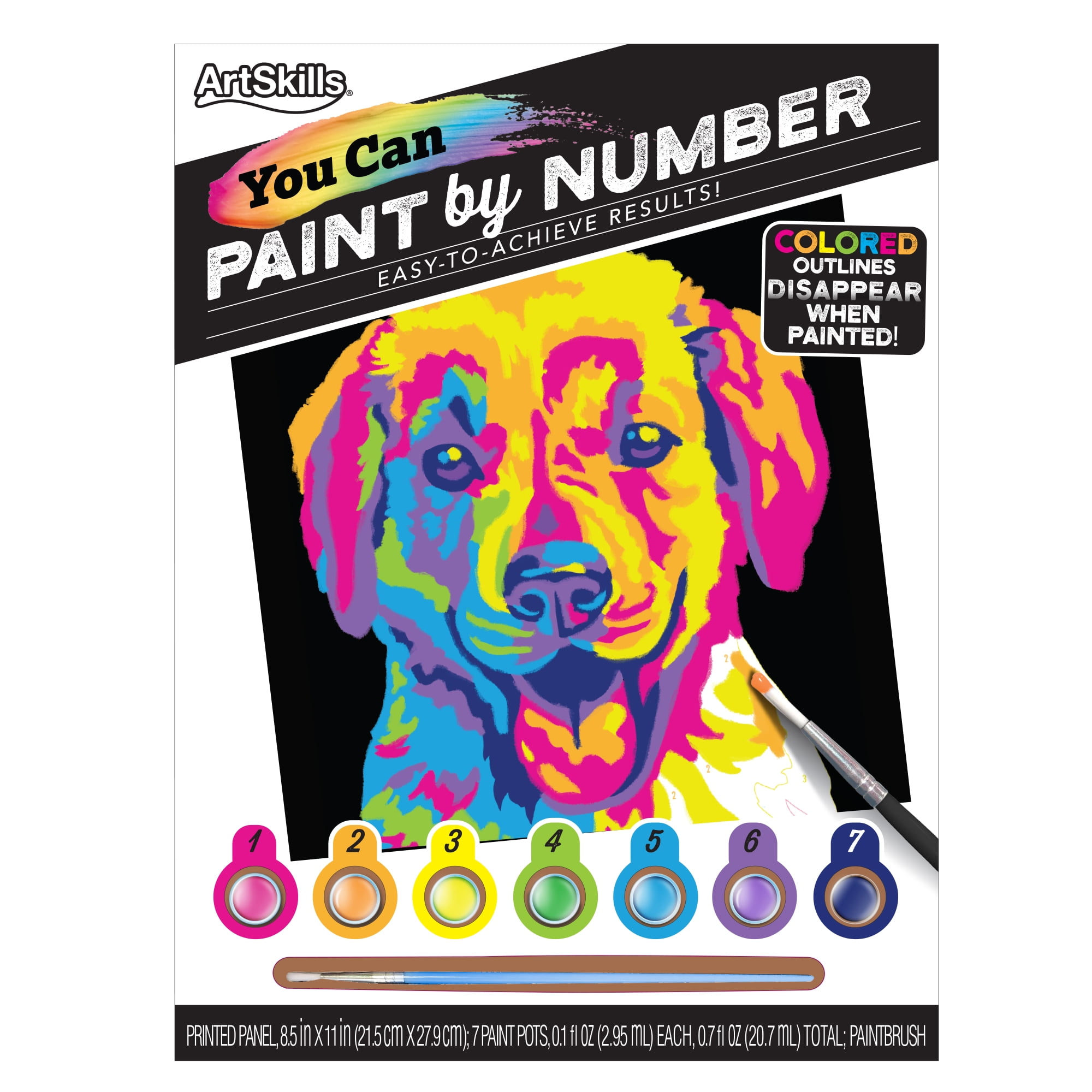 DweIke Paint By Numbers DIY Acrylic Painting Kit For Kids & Adults
