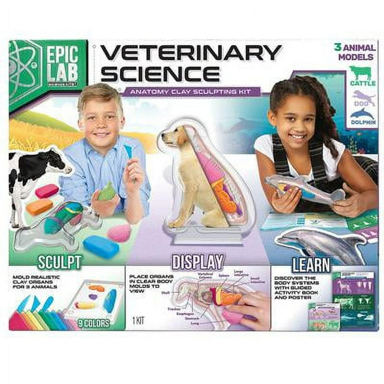ArtSkills Epic Lab Veterinary Science STEM Anatomy Clay Kit for Kids 